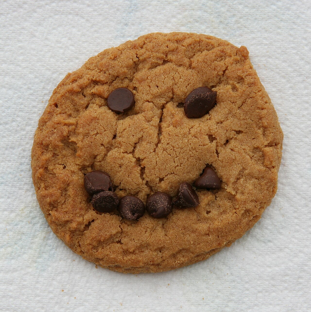 Choco Chip Cookie